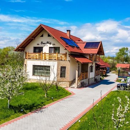 Casa Nely Hotel Sighetu Marmaţiei Exterior foto