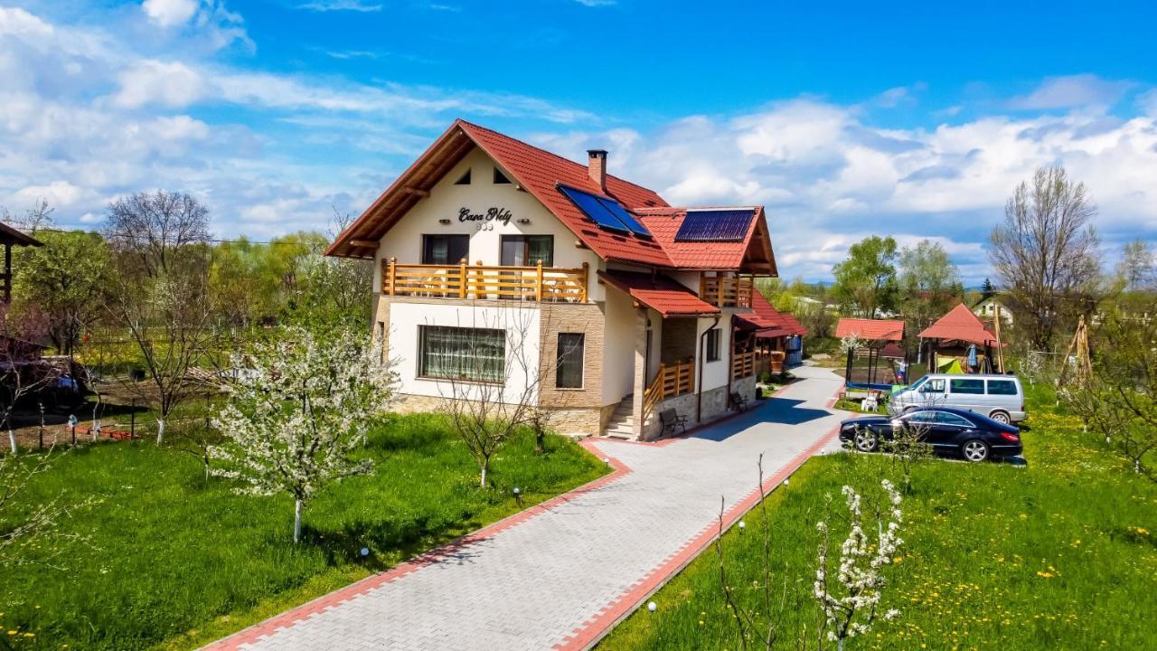Casa Nely Hotel Sighetu Marmaţiei Exterior foto