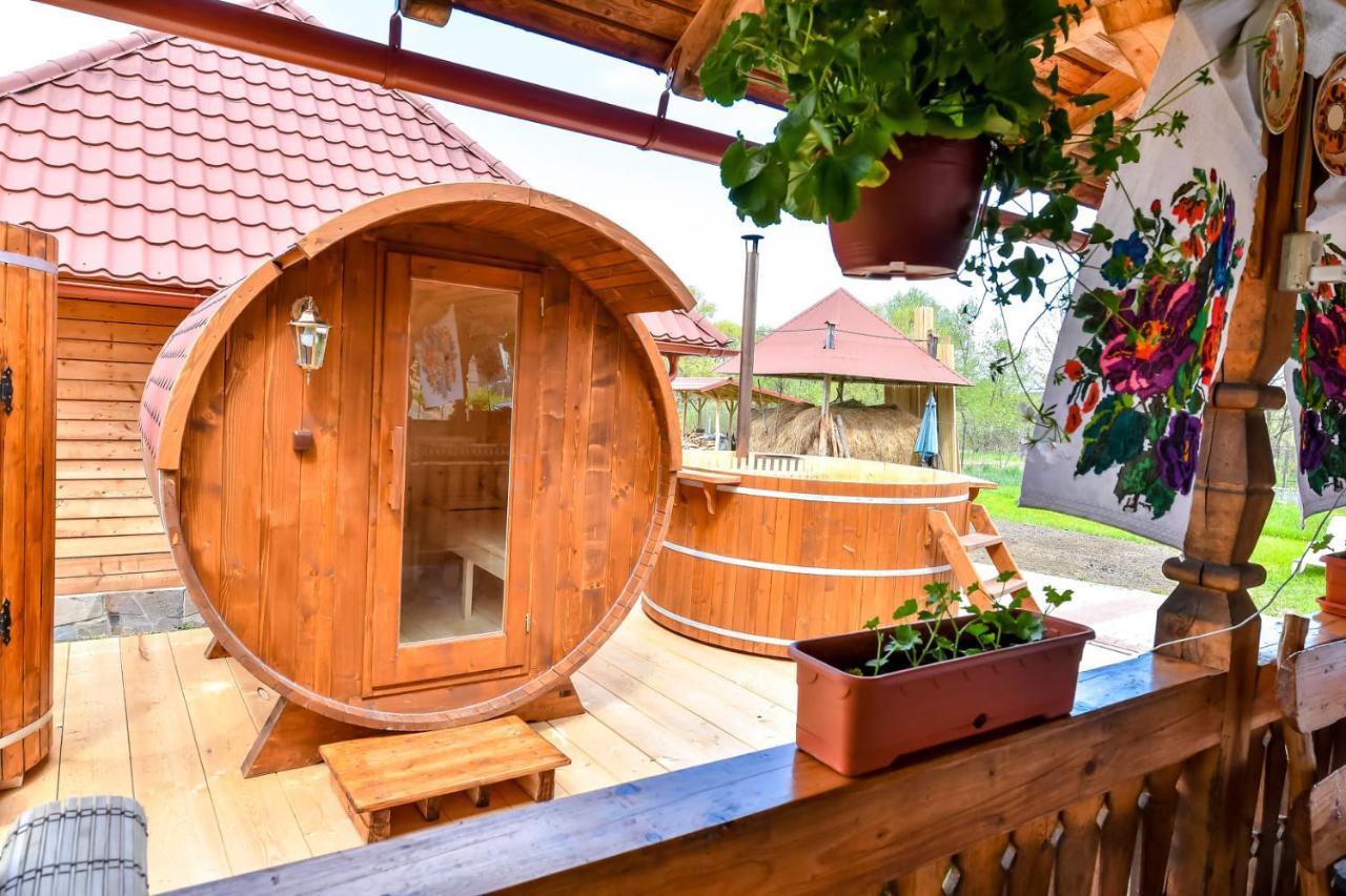 Casa Nely Hotel Sighetu Marmaţiei Exterior foto