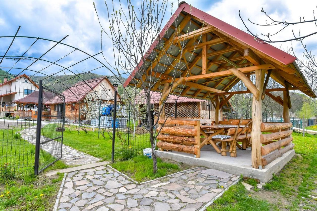 Casa Nely Hotel Sighetu Marmaţiei Exterior foto